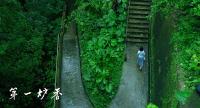 聚集彭于晏马思纯等“影后影帝” 张爱玲《第一炉香》改编电影豆瓣5.5分引观众不满