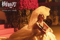 电影《梅艳芳》上映八天票房突破六千万 豆瓣评分7分评论好坏参半