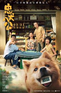 电影《忠犬八公》全国公映，白举纲与八筒诠释温情感动